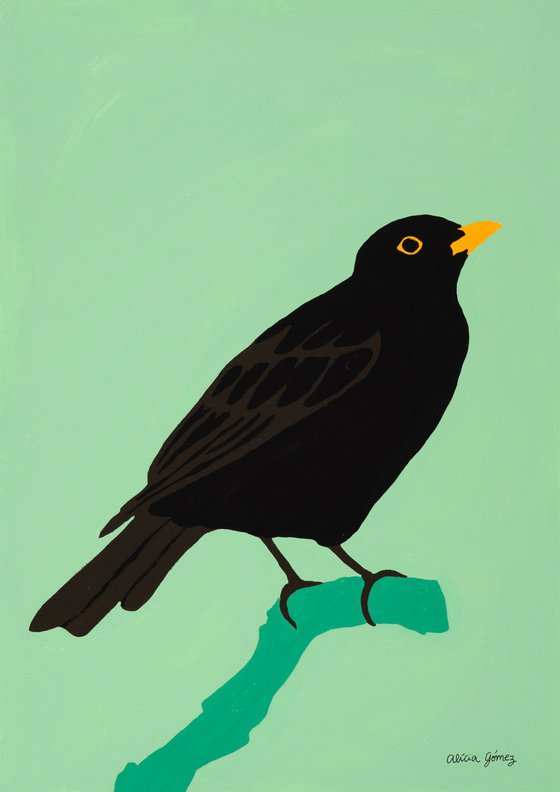 Black bird