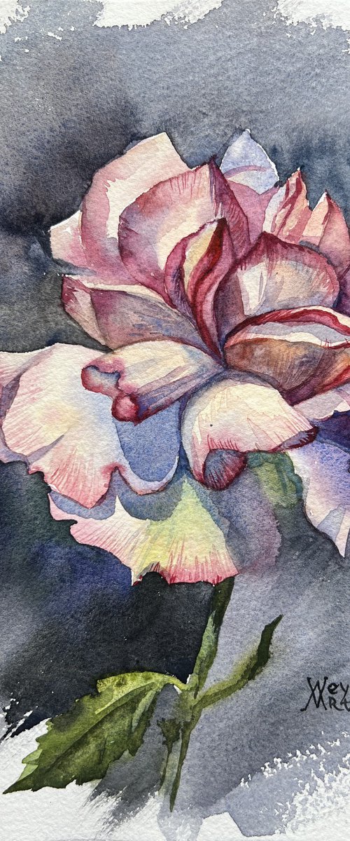 Pink rose, botanical painting. Painting of flowers. by Natalia Veyner