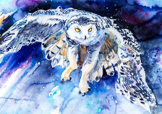 Snowy owl hunting