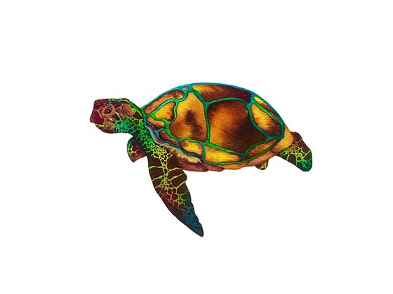 Turtle