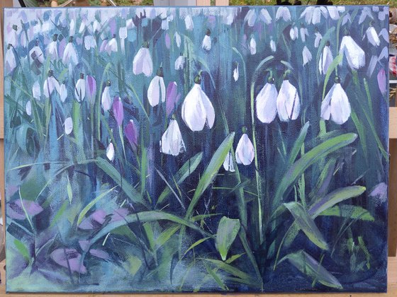 Snowdrops, original acrylic painting on canvas