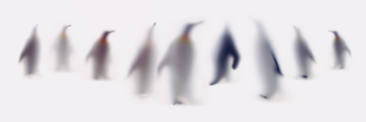 Abstract Animal Photograph By Sven Pfrommer, 59 X 20", Wild Lens - Penguins, Original Artwork