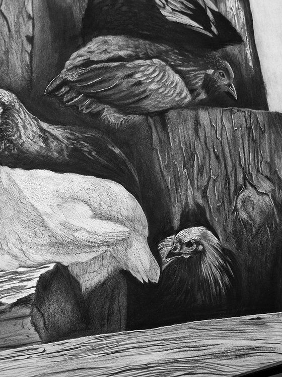 "Young Flock"