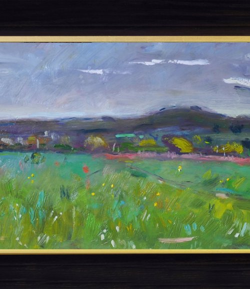 Field at Honeysuckle Lane. by Andre Pallat