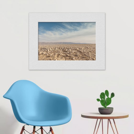 Desert landscape