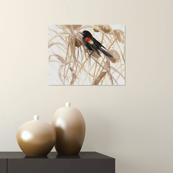 Red Winged Blackbird