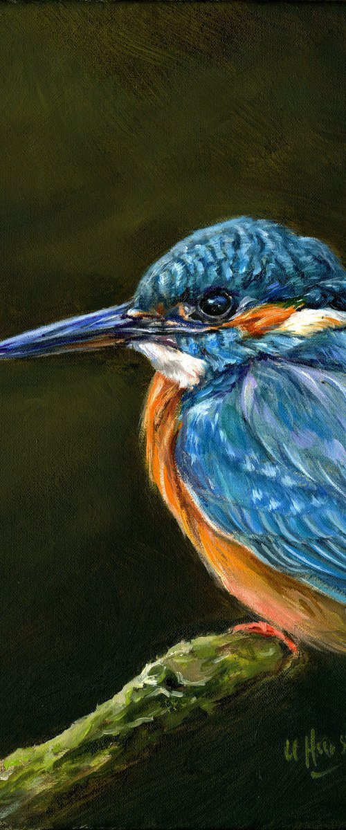 Kingfisher oil painting by Una Hurst