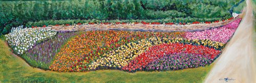 Flowerbed, South Holly by Mark Smith