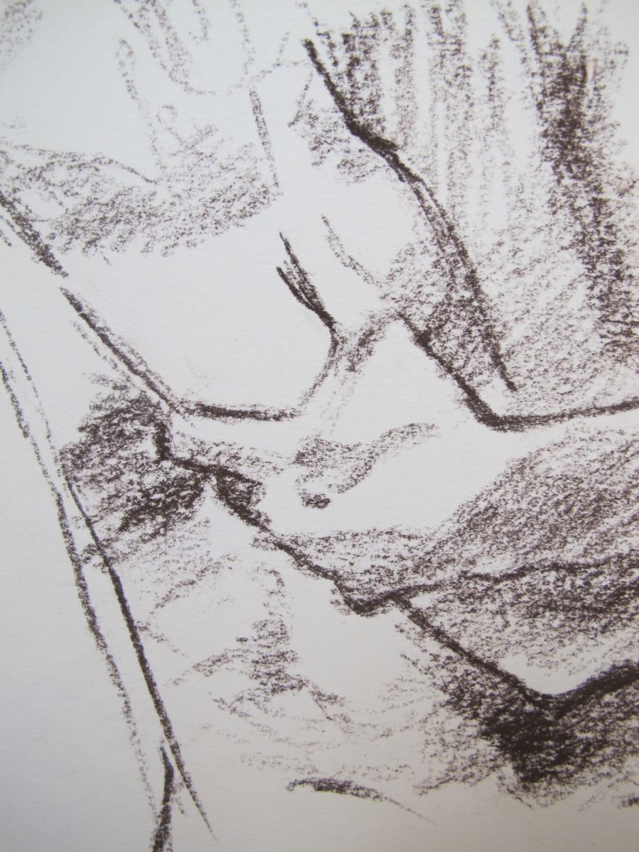 male nude life drawing