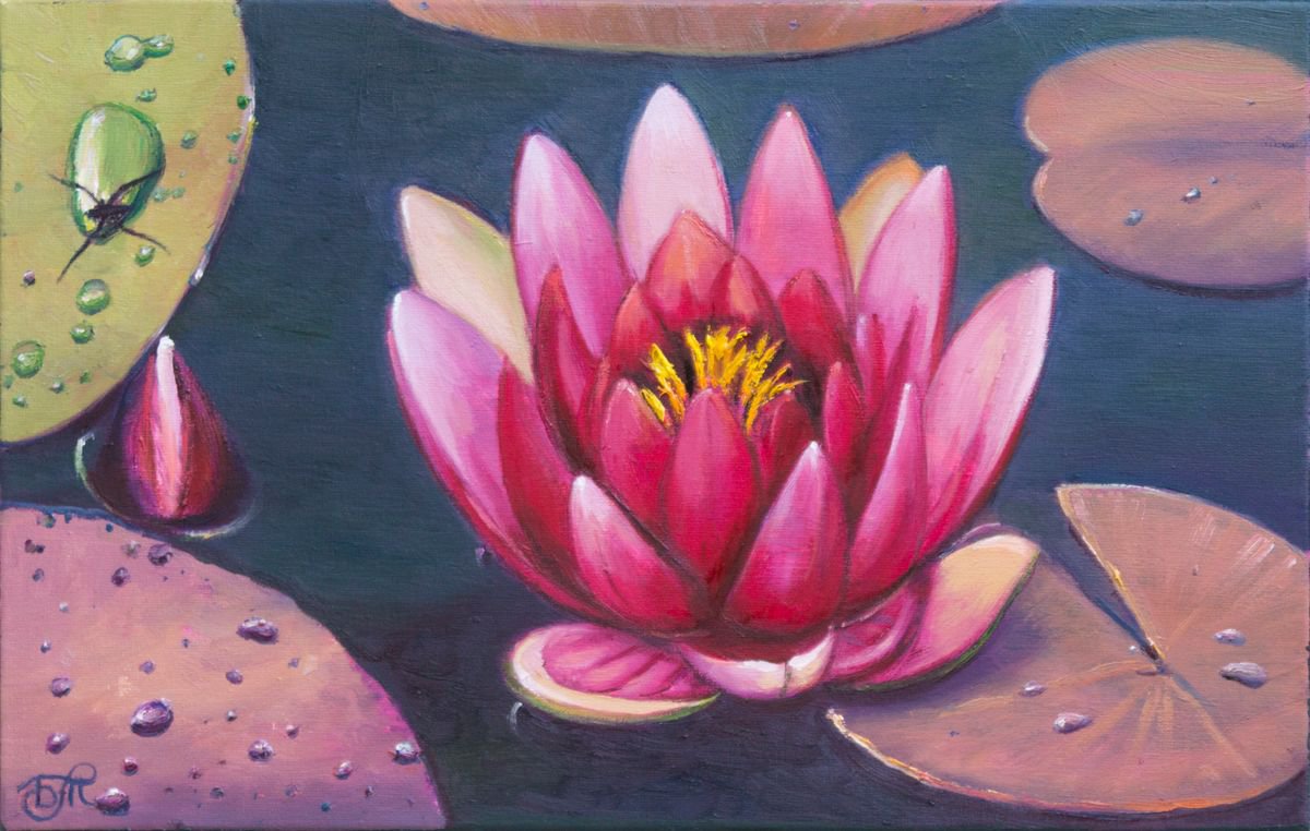 Lotus by Dmitrij Tikhov