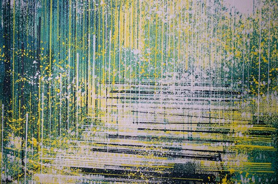 Light Through Spring Forest