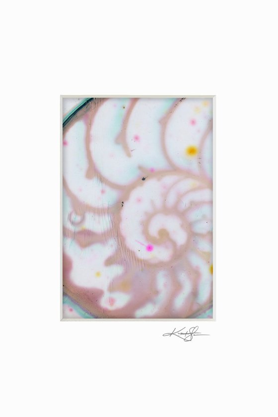 Nautilus Shell Collection 1 - 3 Small Matted paintings by Kathy Morton Stanion