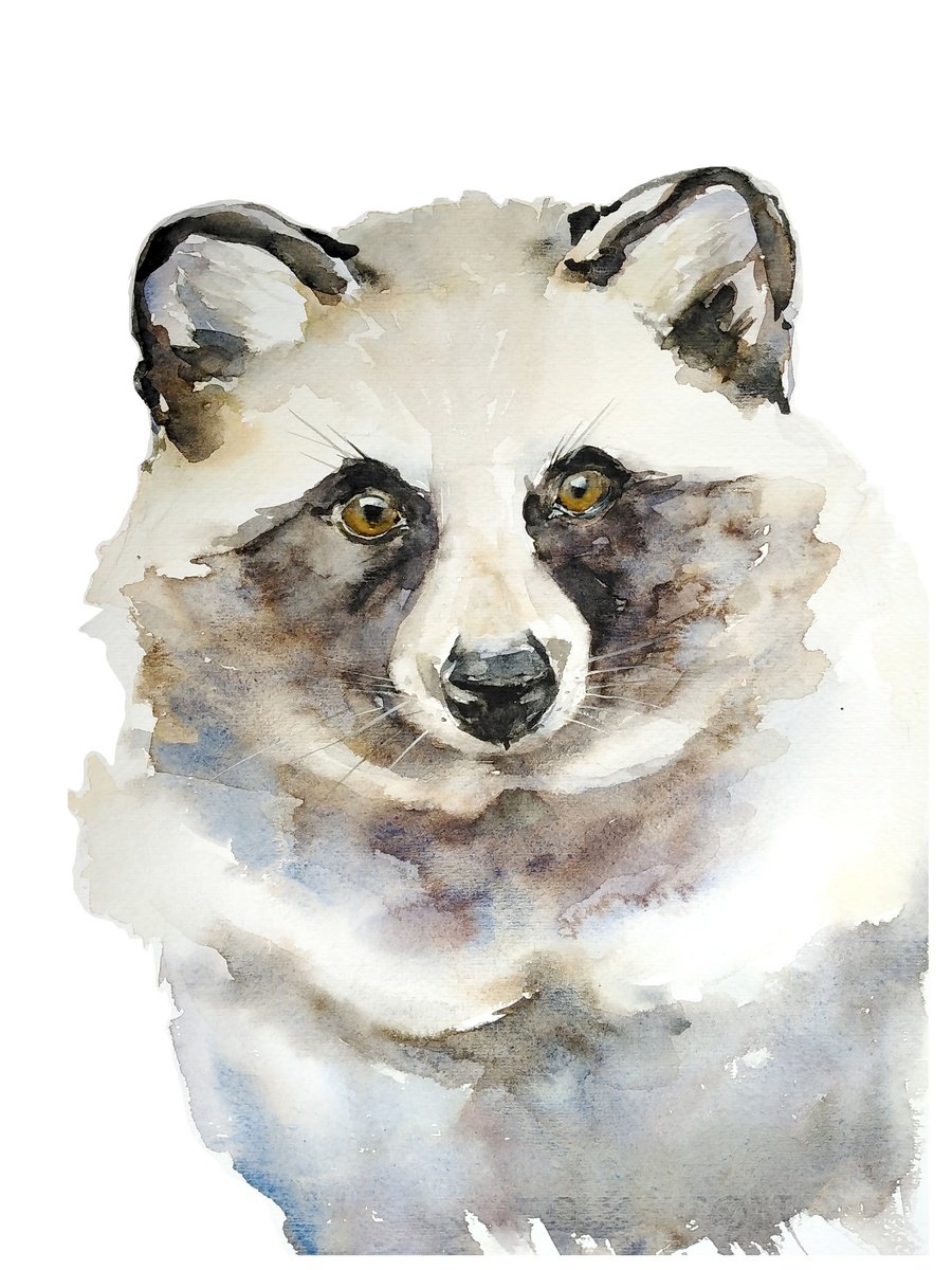 Japanese tanuki raccoon watercolor illustration by Tanya Amos
