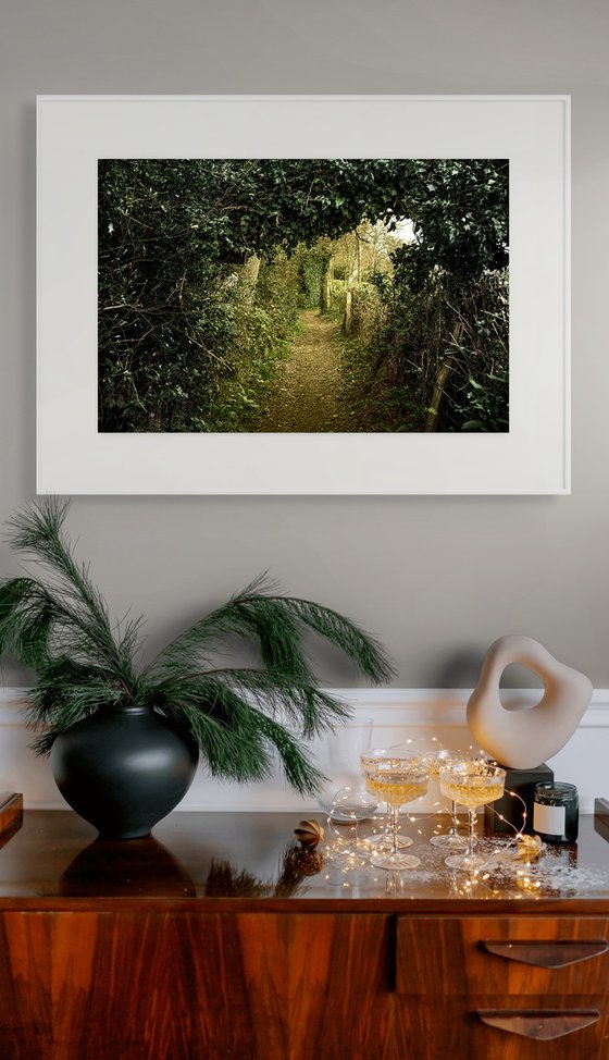 The Path to Hawkhurst