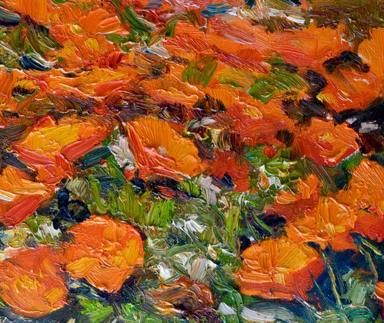 Antelope Valley, Golden Poppies