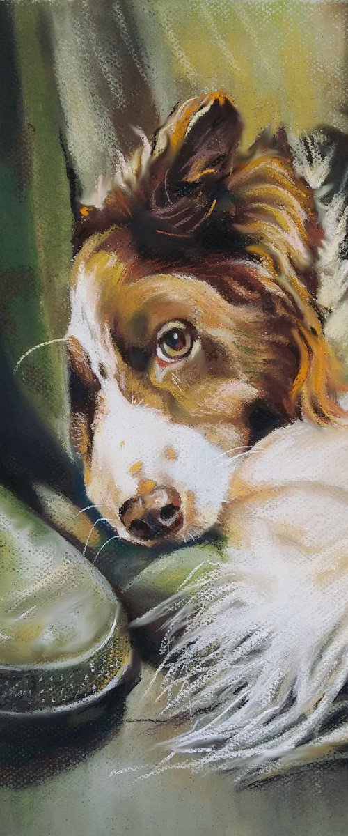 Doggie by Magdalena Palega