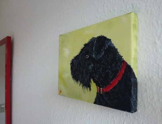 Charlie the dog