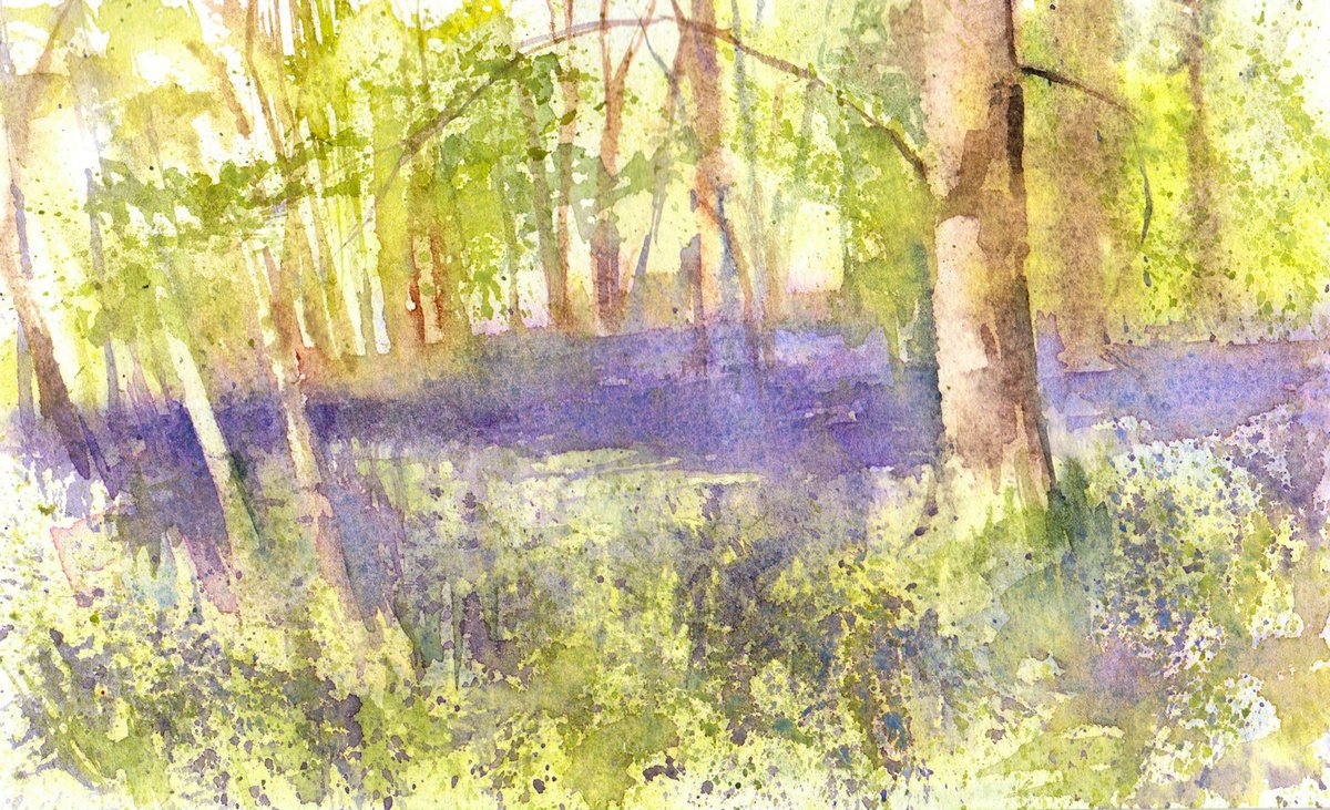 Bluebell Wood Spring Floral Landscape - Original Watercolour Painting by Anjana Cawdell