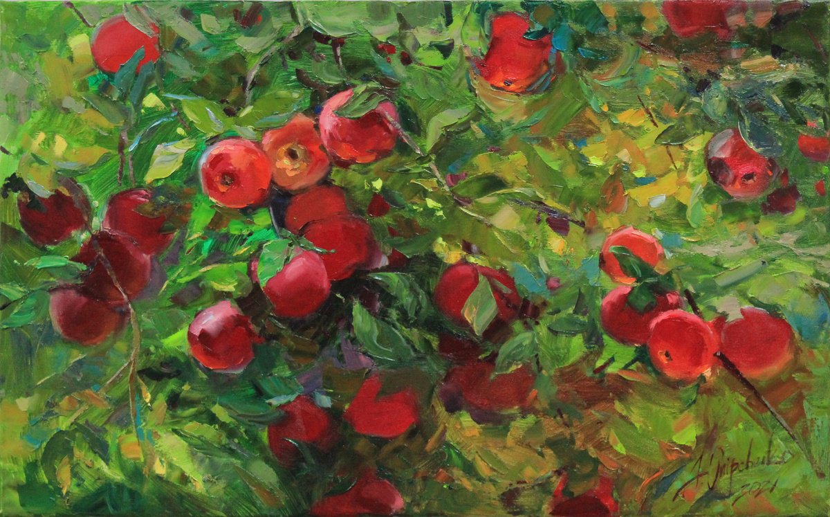 Carpathian apples by Alisa Onipchenko-Cherniakovska