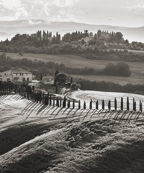 Rolling hills of Tuscany by Peter Zelei