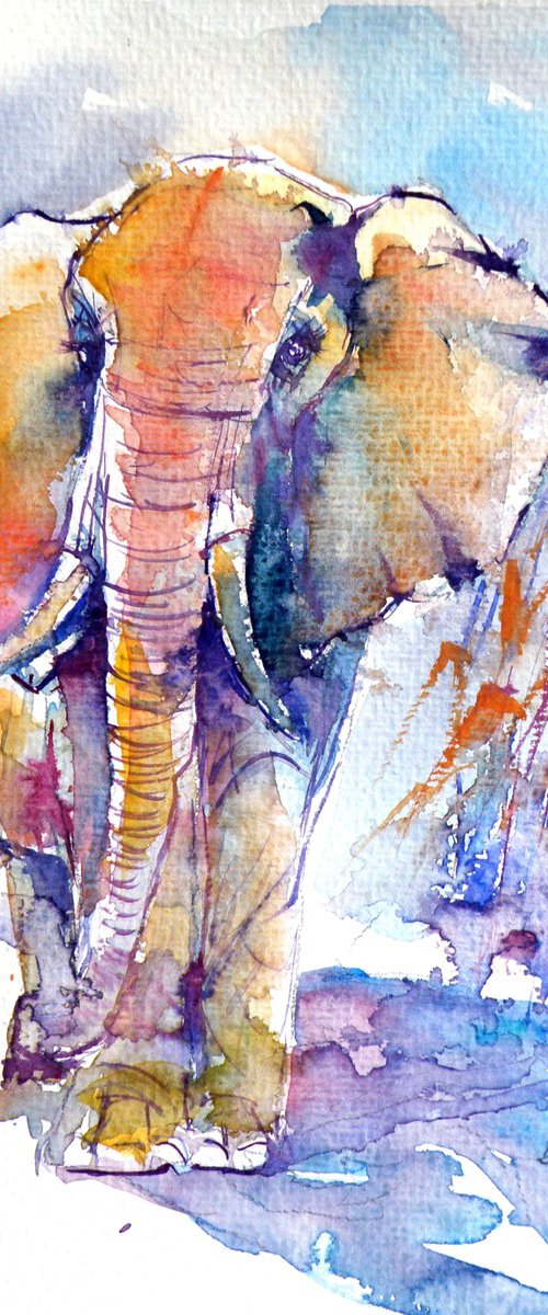 Elephant by Kovács Anna Brigitta