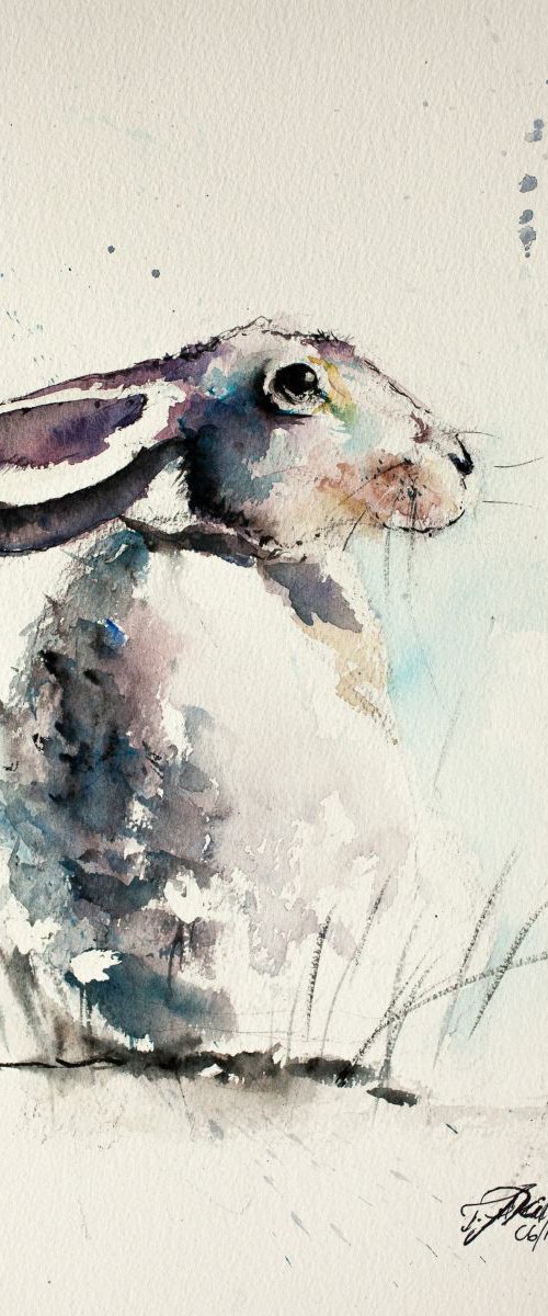 Frightened Hare by Tomasz Mikutel