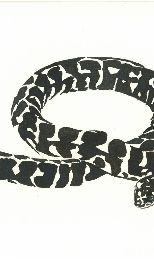 Snake I Animal Drawing by Ricardo Machado
