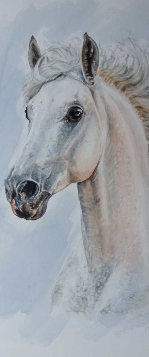 Horse 'Magnificent' by Mel Davies Original Art