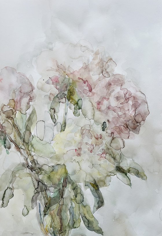 Peonies 50x65 cm 2025
