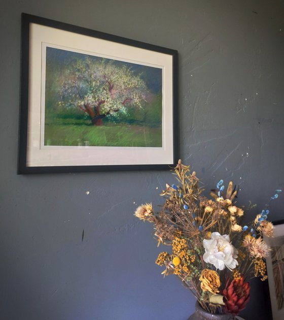 Apple tree