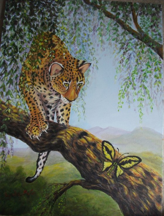 Leopard Meets Butterfly