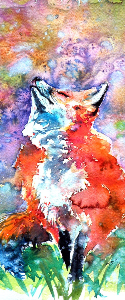 Spring is in the air - red fox by Kovács Anna Brigitta