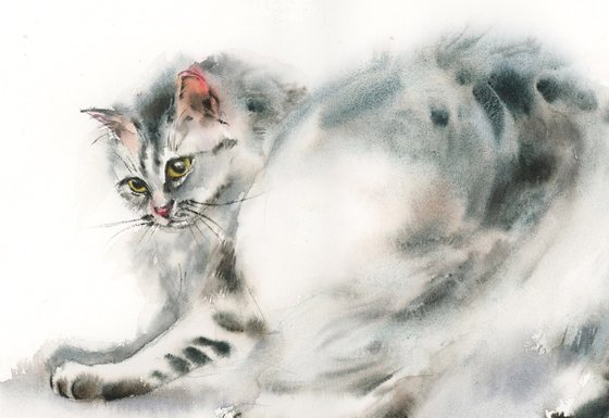 Playing Cat