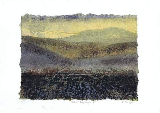 Achill Bogscape 2