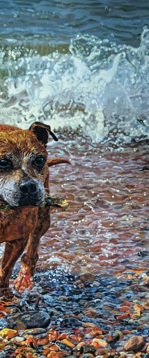 Ruby by the Shore by Abi Whitlock