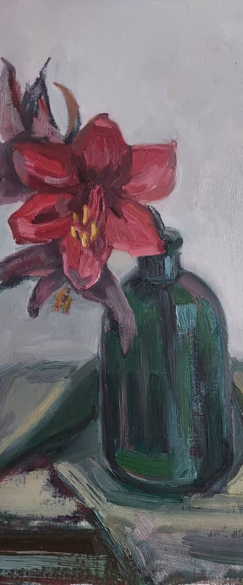 Still-life with flower "Red Amaryllis" by Olena Kolotova