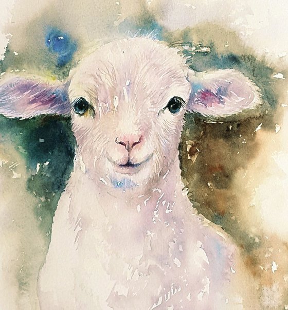 Snowy the Lamb