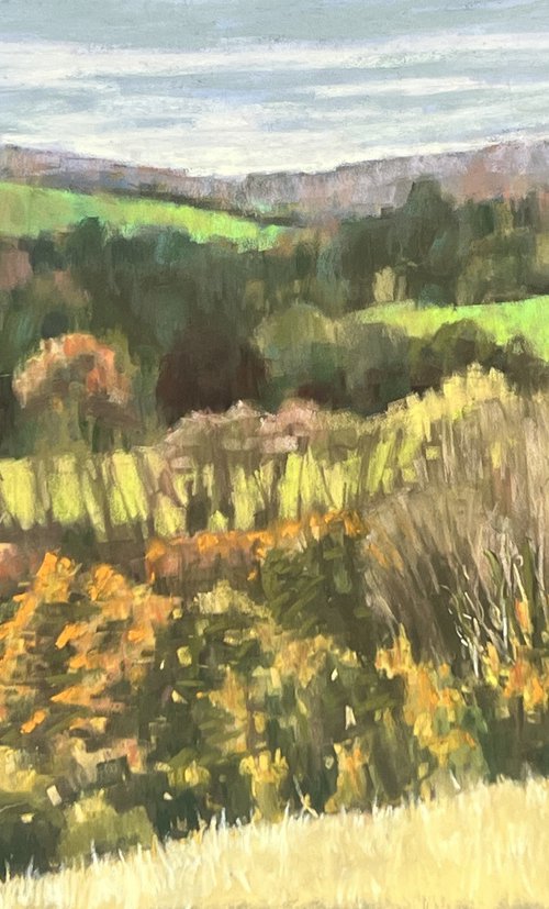 View from Box Hill by Louise Gillard