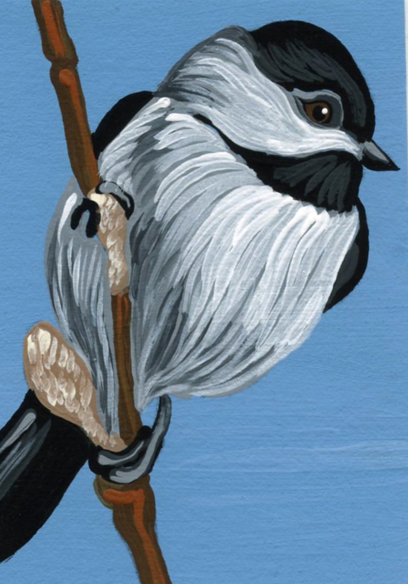 ACEO ATC Original Miniature Painting Chickadee Wildlife Bird Art-Carla Smale by carla smale
