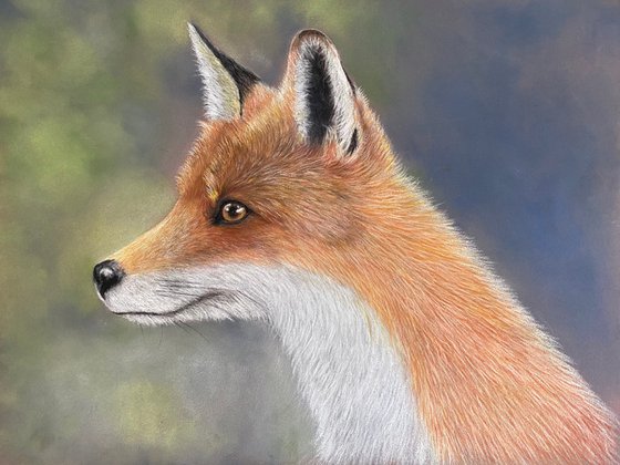 Fox