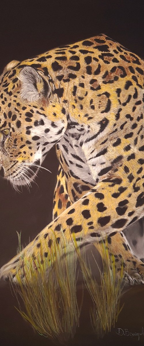 Leopard Chincha realism wild animals pastel on pastelmat by Deimante Bruzguliene
