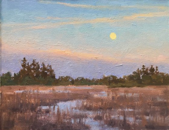 Wetland Moonrise