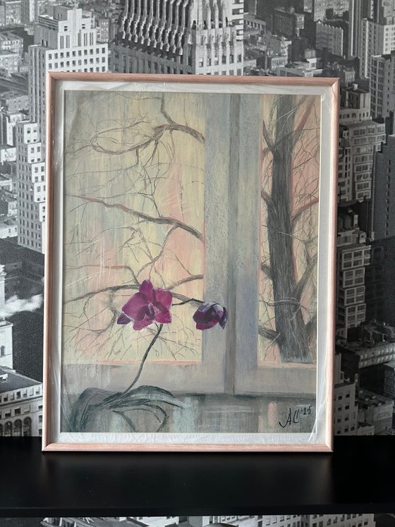 Linden and Orchid