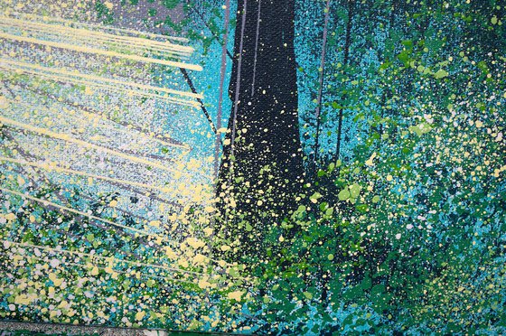 Forest Trees In Spring