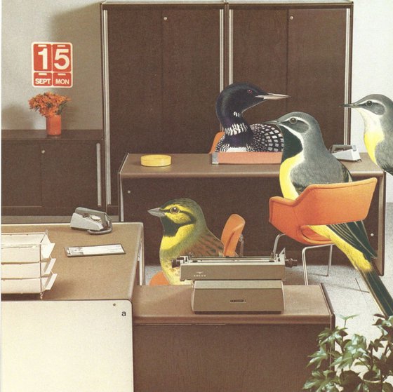 Office Birds Tweeting Meeting