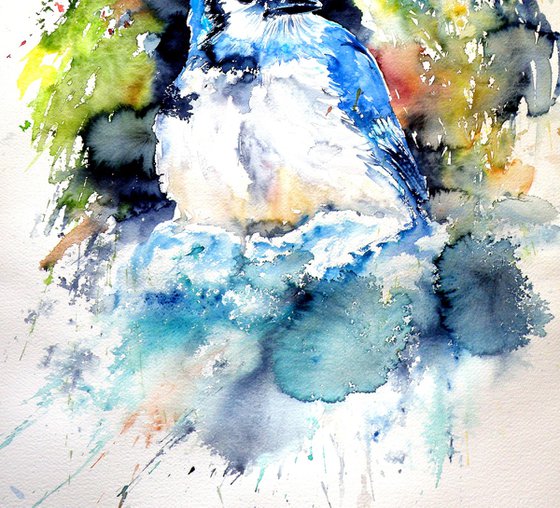 Blue jay