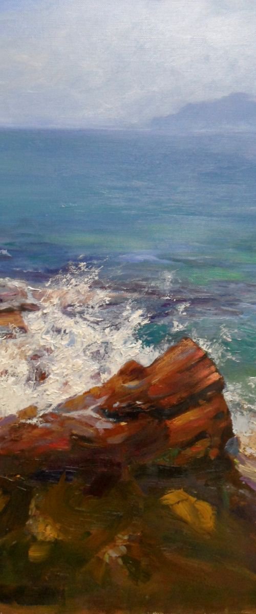 The Volcanic Beach by Irina Sergeyeva