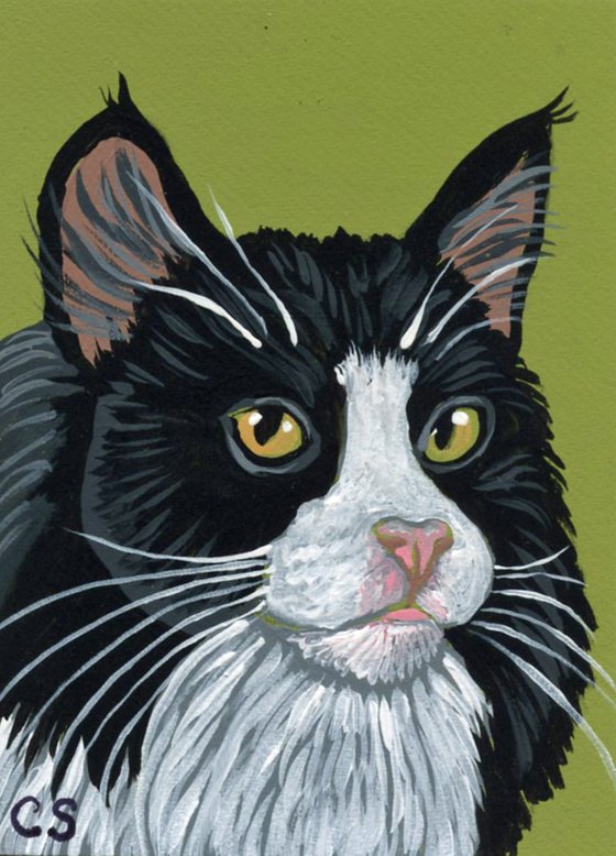 ACEO ATC Original Miniature Painting Black Tuxedo Cat Pet Art-Carla Smale