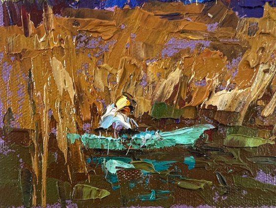 Evening on the river