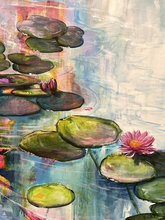 Water Lilies 5